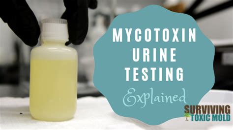 mold urine test at home